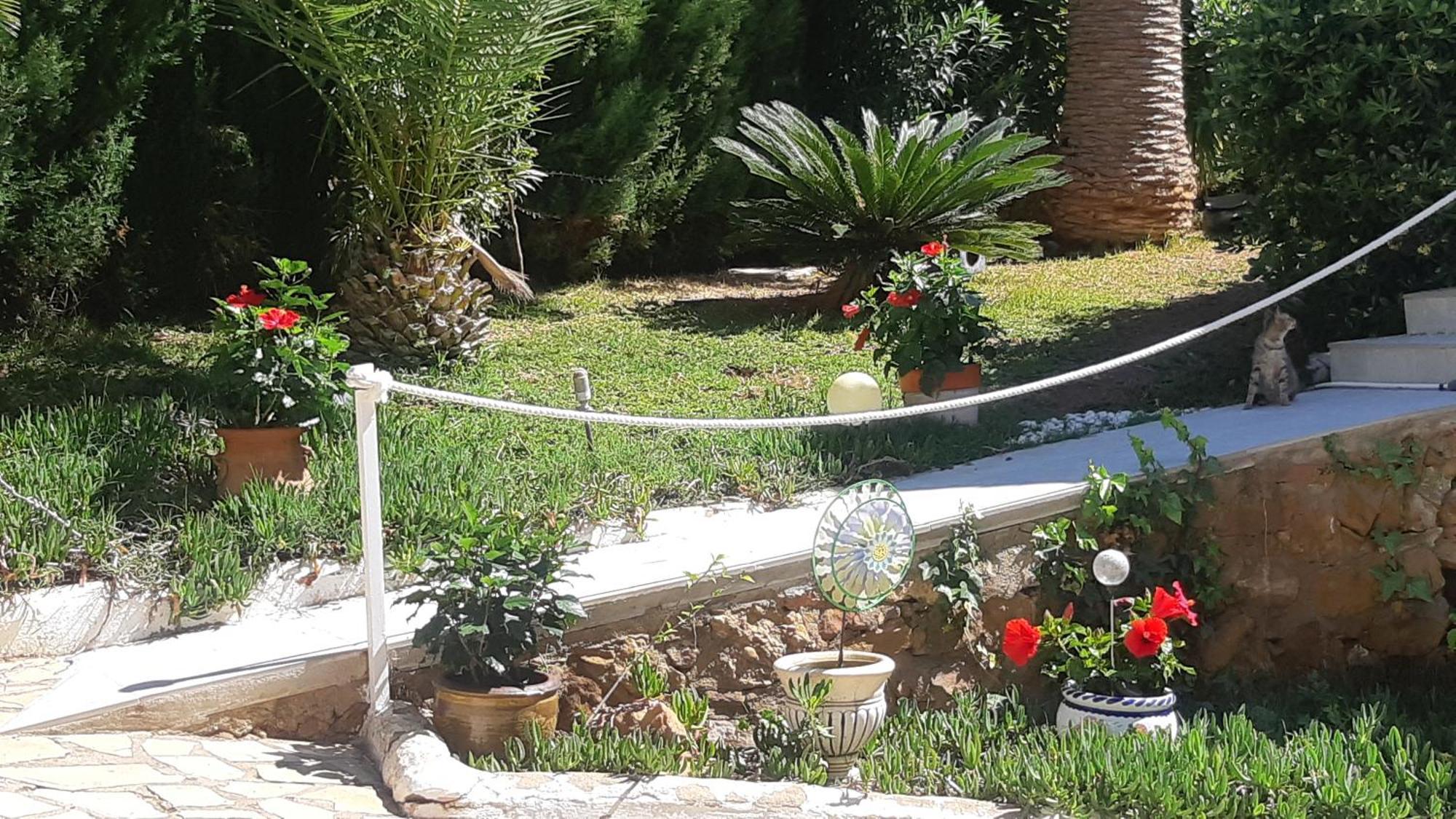 Ferienwohnung Mit Privat-Pool Alcossebre Exterior foto