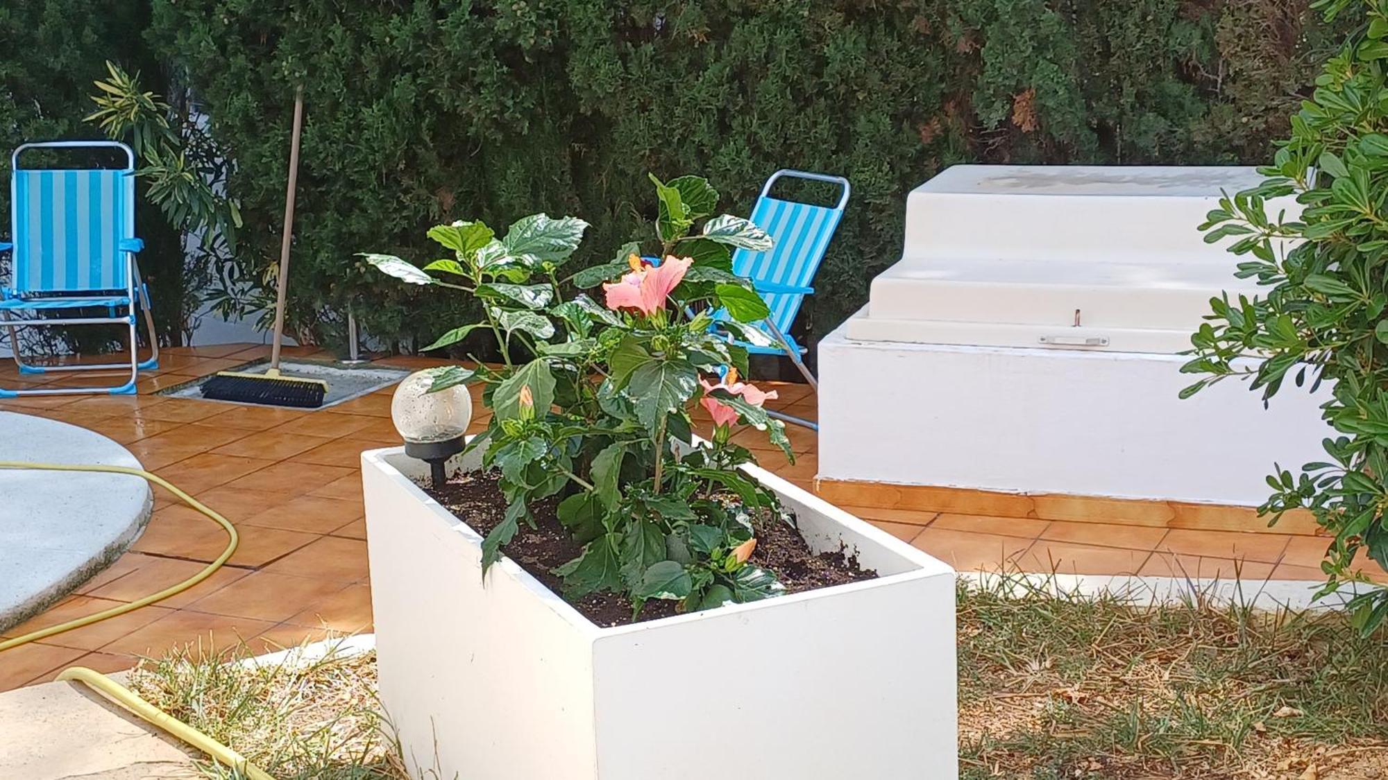Ferienwohnung Mit Privat-Pool Alcossebre Exterior foto